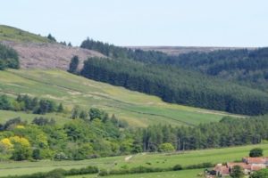UK Walking Locations – The Yorkshire Dales National Park