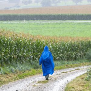 Ten Tips for Staying Dry While Hiking in the Rain